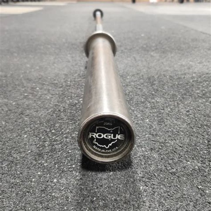 13 Reasons to/NOT to Buy Rogue Ohio Power Bar | Garage Gym Reviews