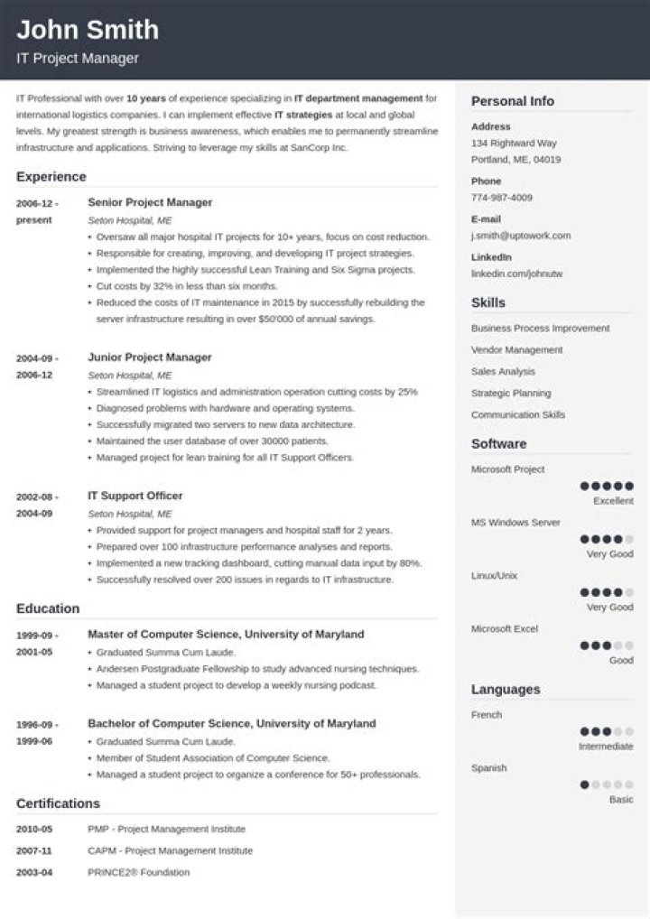 20 Professional Resume Templates
