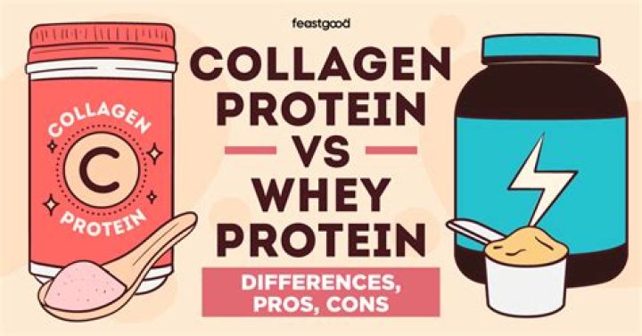 Collagen Protein vs Whey Protein: An Expert Guide