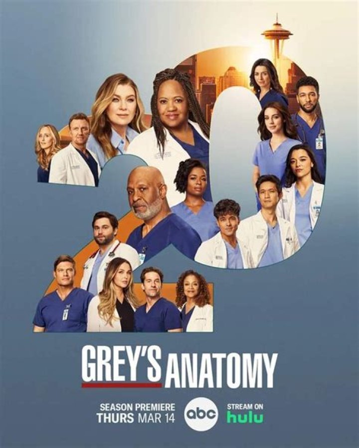 Does Meredith Grey Win a Harper Avery Award on Grey's Anatomy?