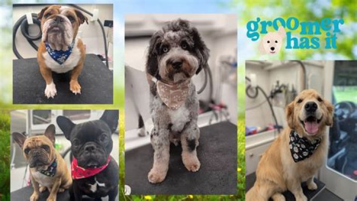 Groomer Has It: Season 2, Episode 6