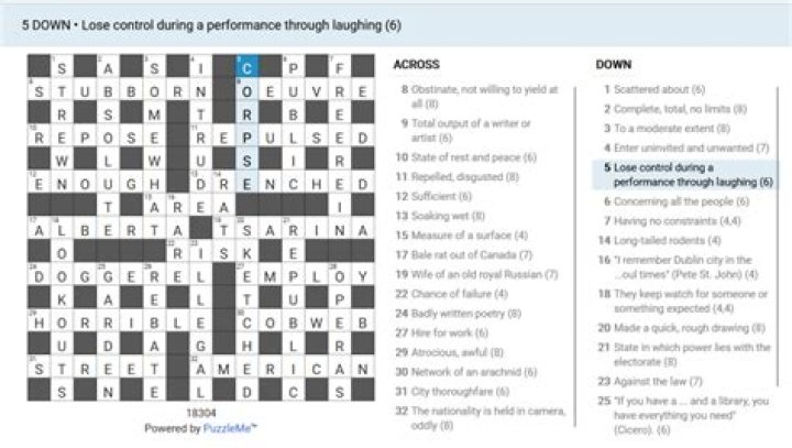 Irish Times Simplex Full-length garments for clergy Crossword Clue Puzzle Answer With 8 letters