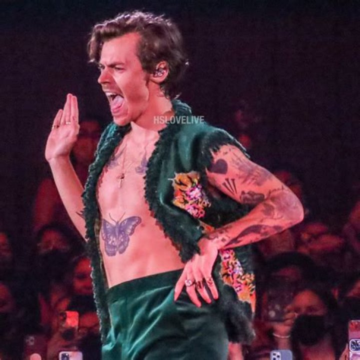 Louis Tomlinson Slams Erotic Fanfics About Him and Harry Styles