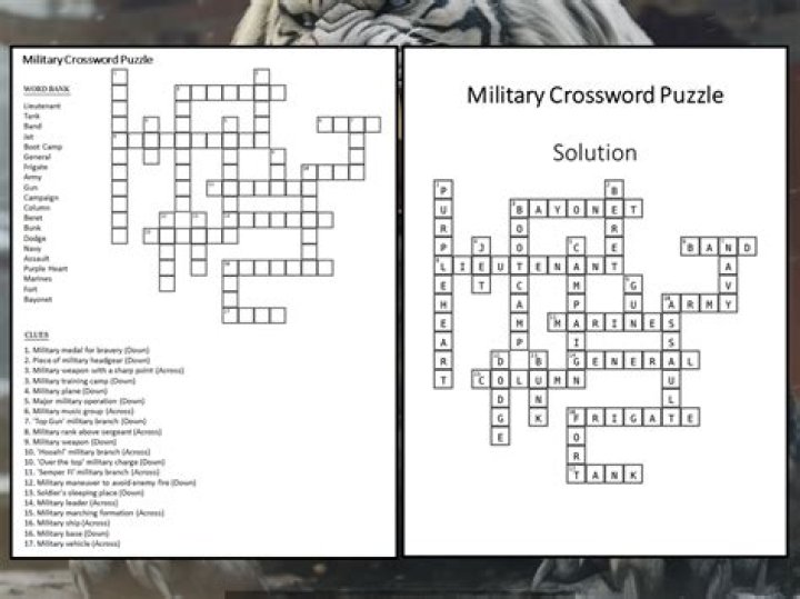 Otago Daily Times Quick Military attack Crossword Clue Puzzle Answer With 6 letters