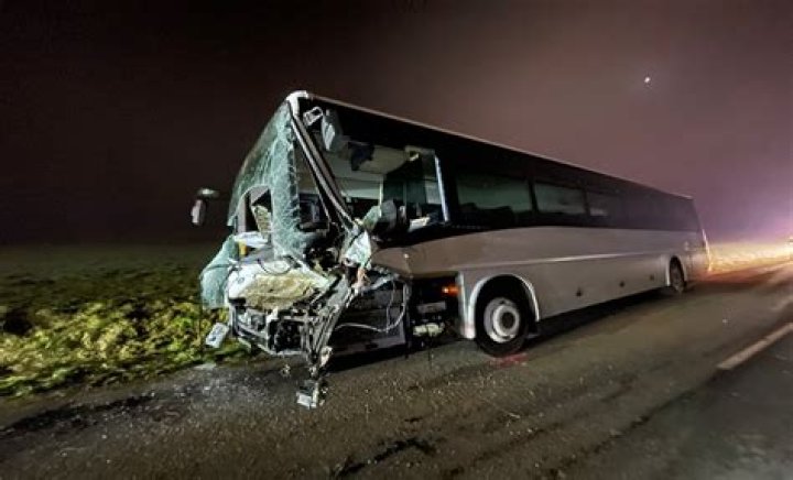 Polly Rogers Bus Accident On Reddit, Girl Falls From The Bus And Her Head Splits