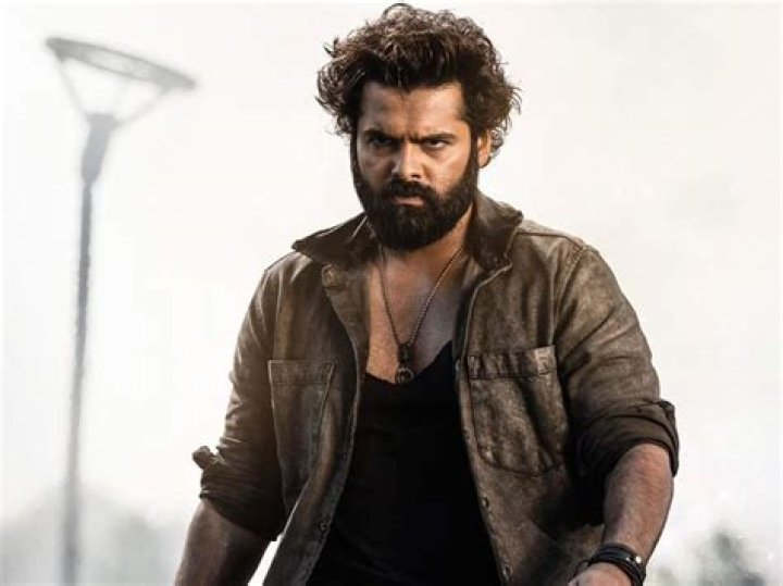 Skanda on Day 2 - Huge drop at the box office!