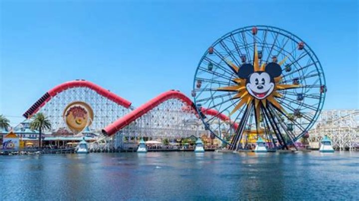 Suicide investigation alleged at disneyland in anaheim california