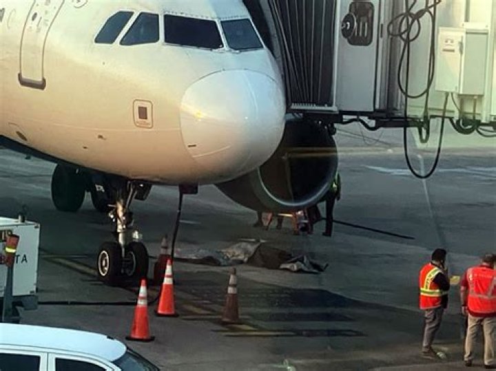 Taylor Wilbur Tallent Died By Suicide: Know More About his Death