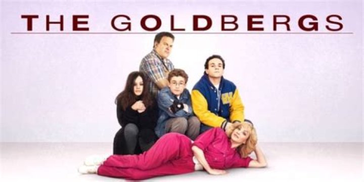 Troy Gentile's Wiki  - aka Barry Goldberg on 'The Goldbergs'