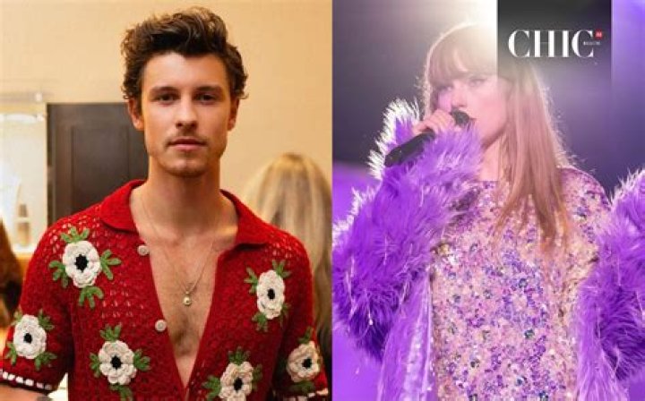 What Taylor Swift Taught Shawn Mendes About Being a Performer